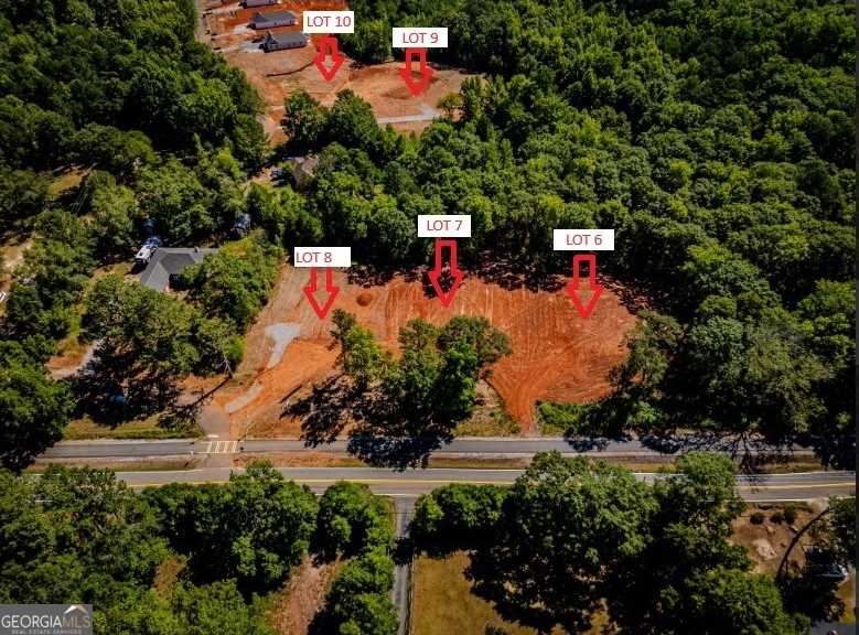 photo 3: LOT 8 Mountain View Drive, Hamilton GA 31811