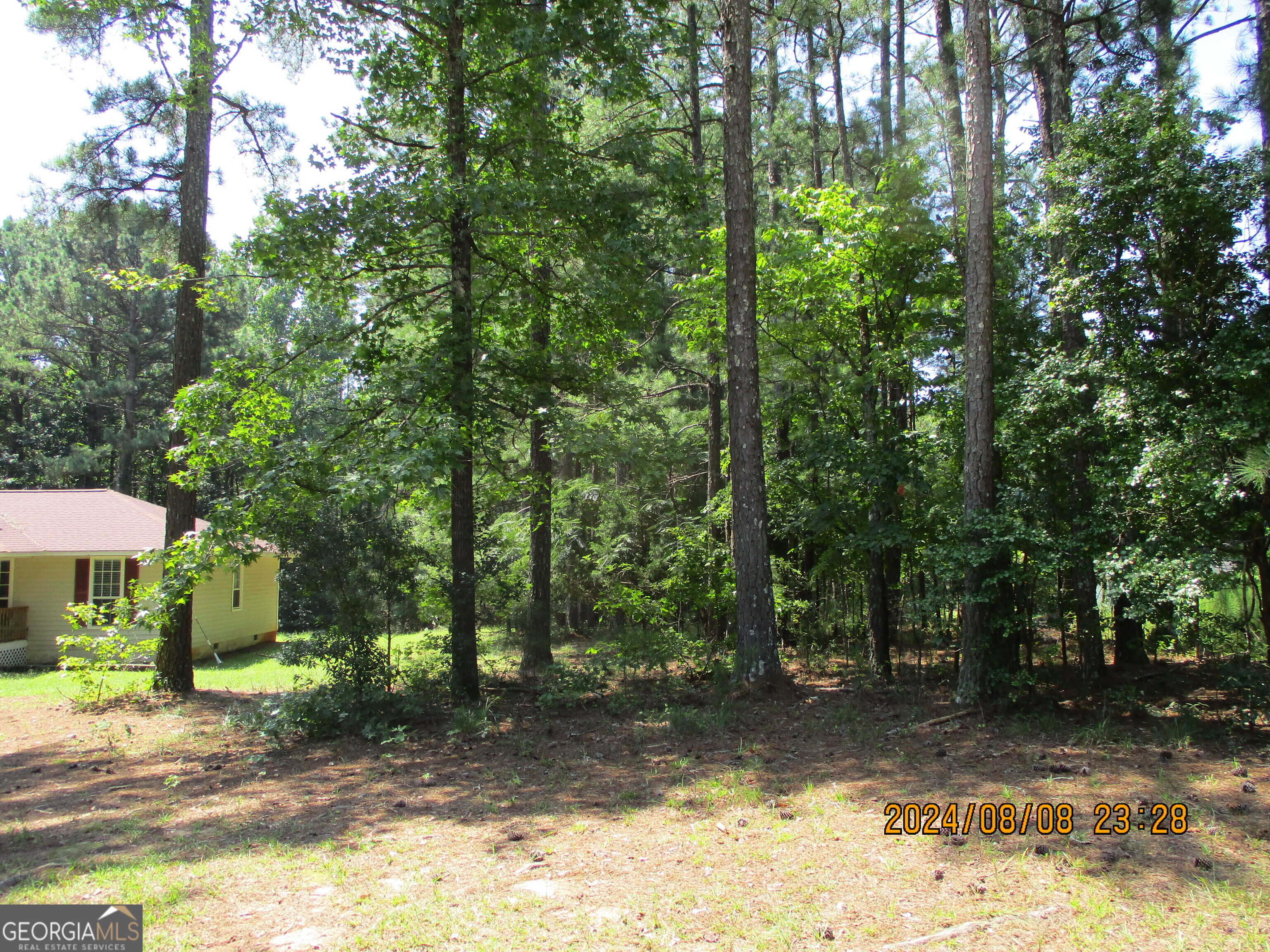 photo 3: 1757 Ellis Rd, Hogansville GA 30230