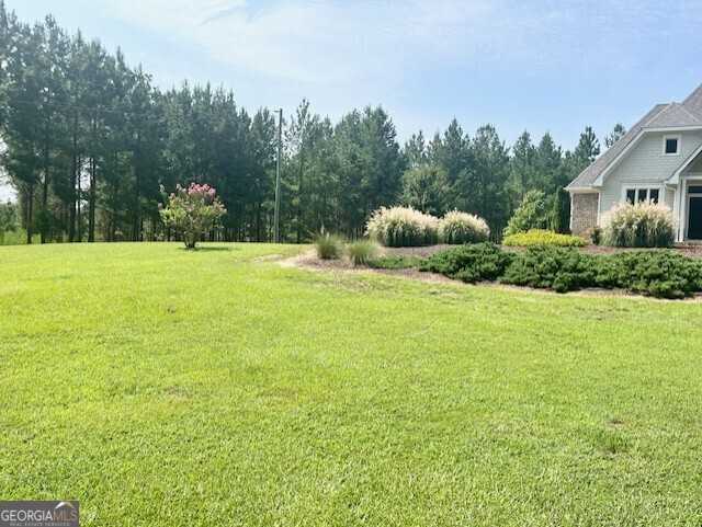 photo 3: 7381 Whitaker Road, Roberta GA 31078