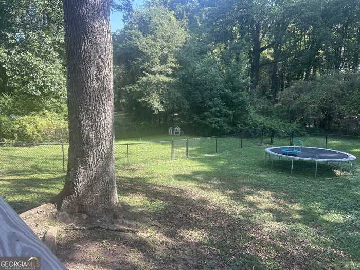 photo 30: 226 Mill Street, Bowdon GA 30108