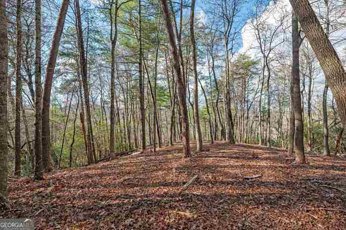 photo 2: LOT 2A Ber Weg, Helen GA 30545