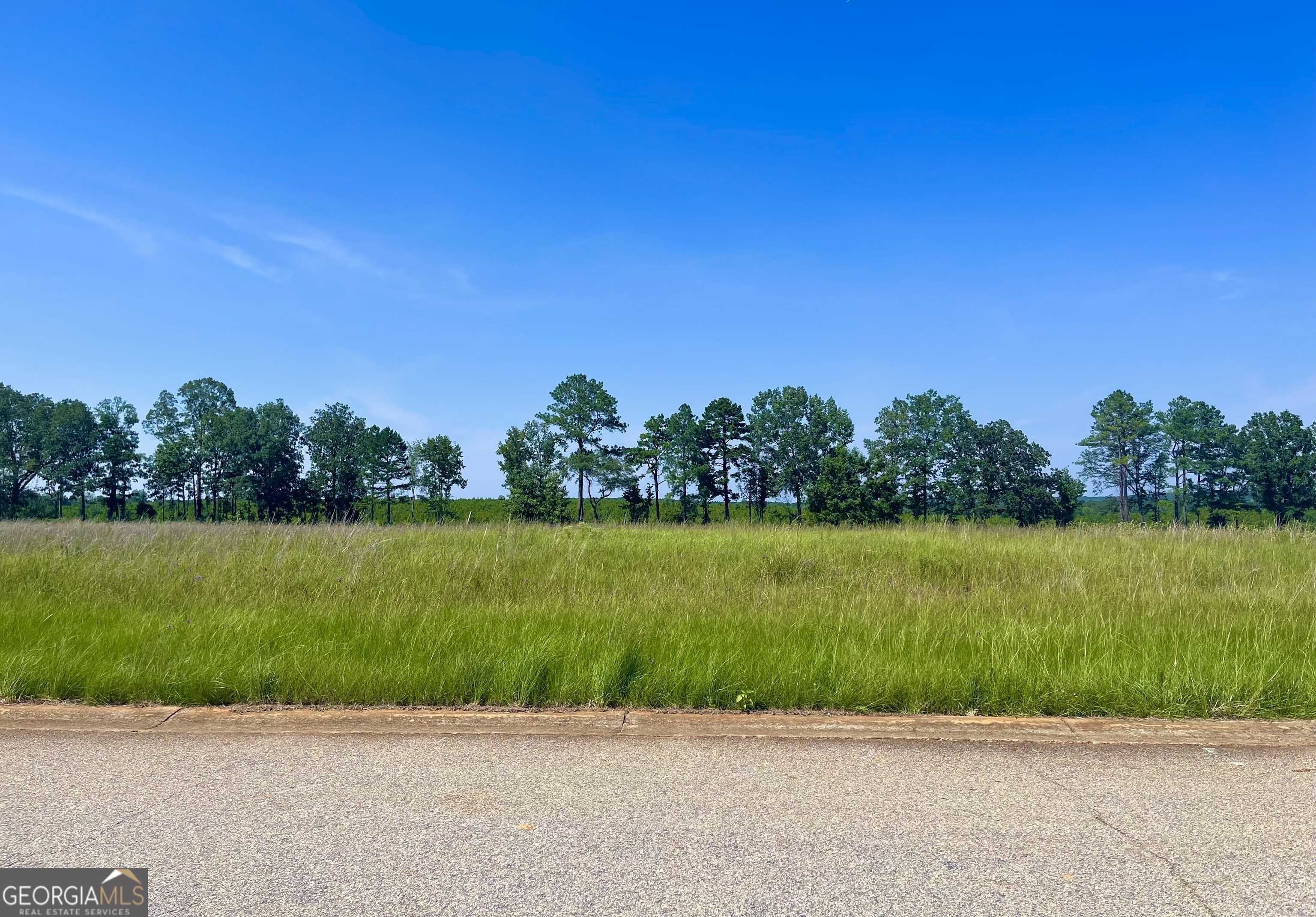 photo 1: LOT 36 Crabapple Drive, Hawkinsville GA 31036