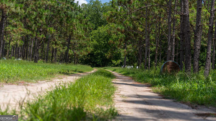 photo 41: Stewart Road, Ochlocknee GA 31773