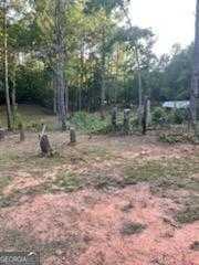 photo 3: 1272 Panther Creek Road, Luthersville GA 30251