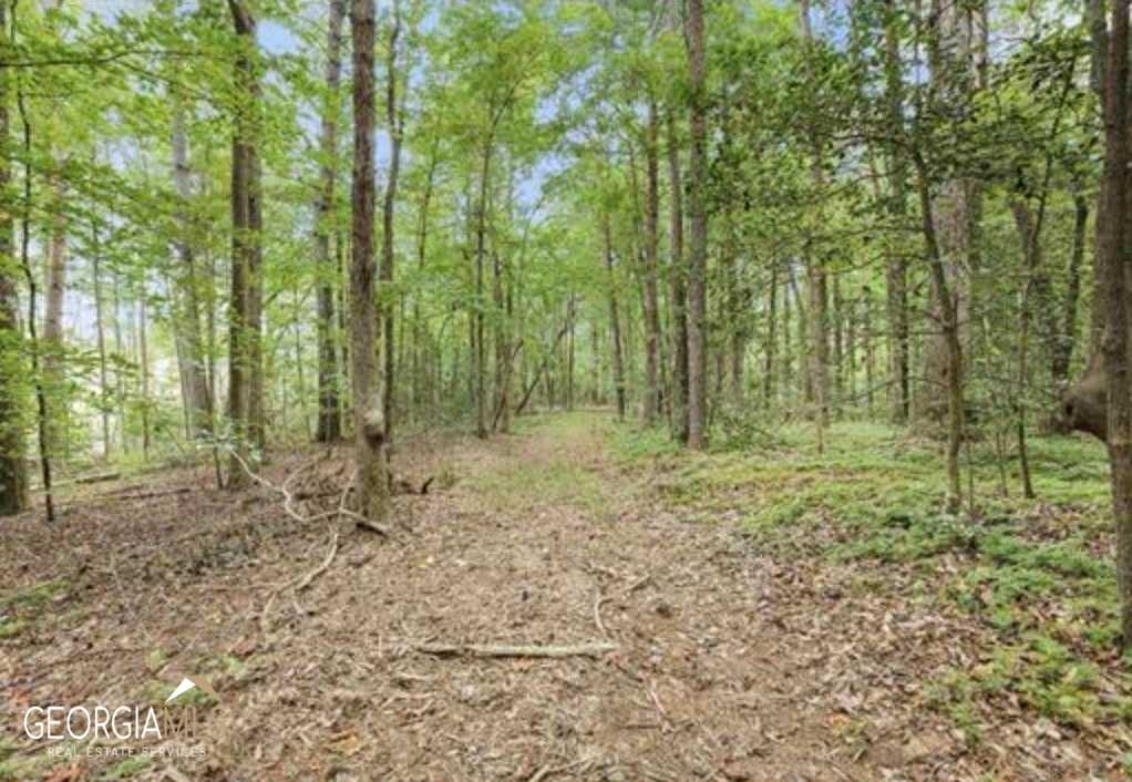 photo 1: LOT 6 Parker Point, Cornelia GA 30531