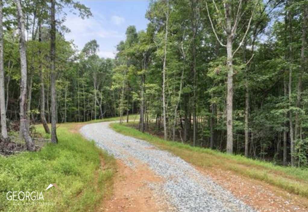 photo 3: LOT 6 Parker Point, Cornelia GA 30531