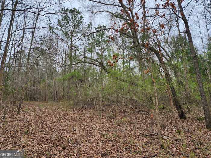 photo 1: LOT 17 Smith Road, Thomaston GA 30286