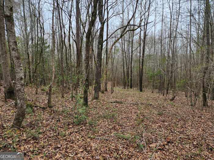 photo 2: LOT 17 Smith Road, Thomaston GA 30286