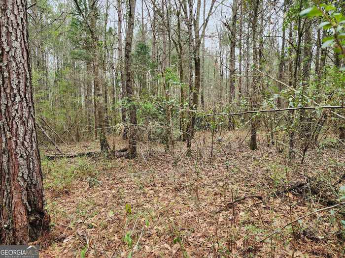 photo 33: LOT 17 Smith Road, Thomaston GA 30286