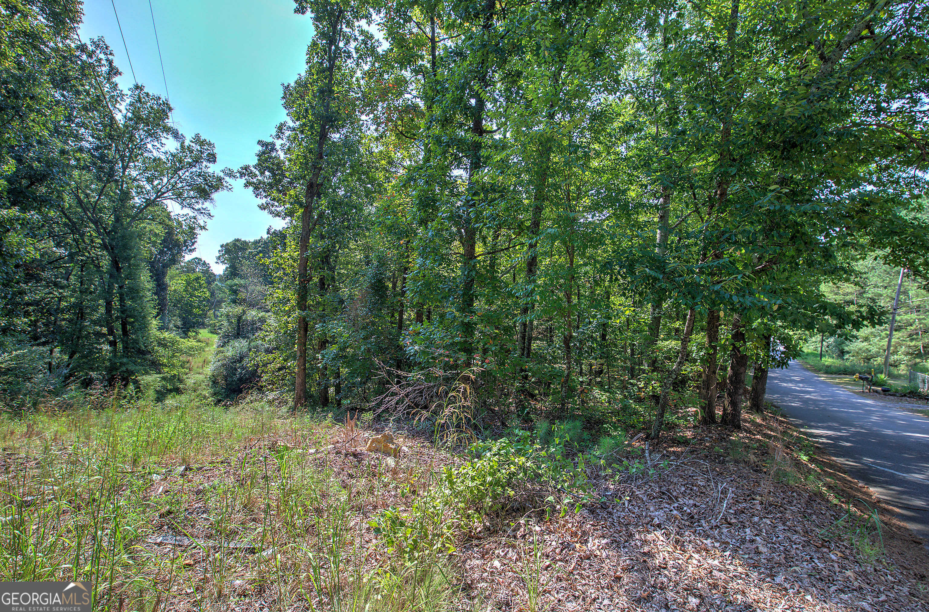 photo 2: 110 Cedar Creek Road, Cartersville GA 30121