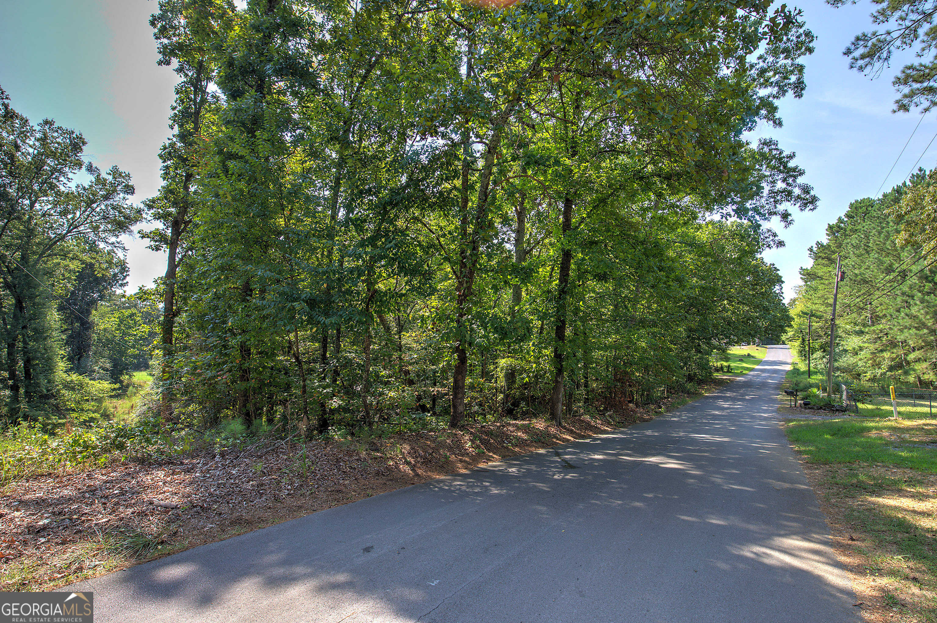 photo 3: 110 Cedar Creek Road, Cartersville GA 30121