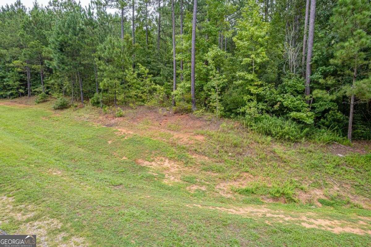 photo 2: 1061 Apalachee Meadows Drive Unit LOT 25, Madison GA 30650