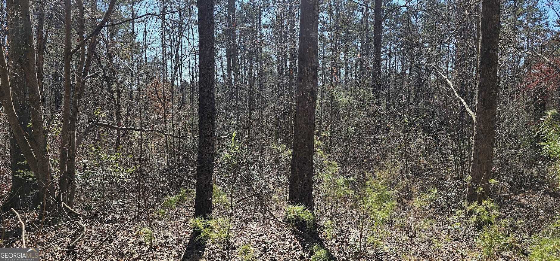 photo 1: 48 & 30 Dogwood Trail, Martin GA 30557