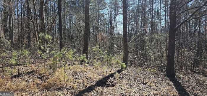 photo 2: 48 & 30 Dogwood Trail, Martin GA 30557