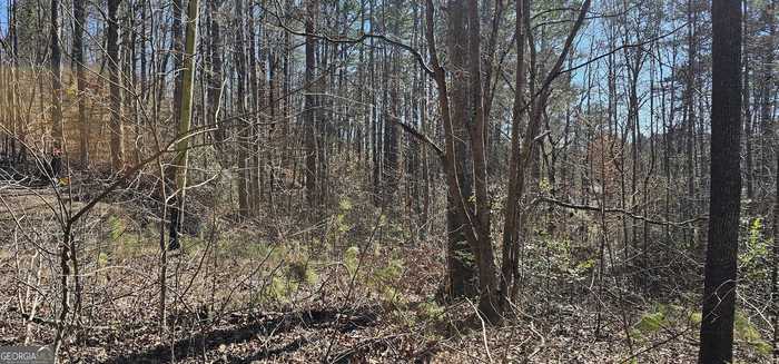 photo 4: 48 & 30 Dogwood Trail, Martin GA 30557