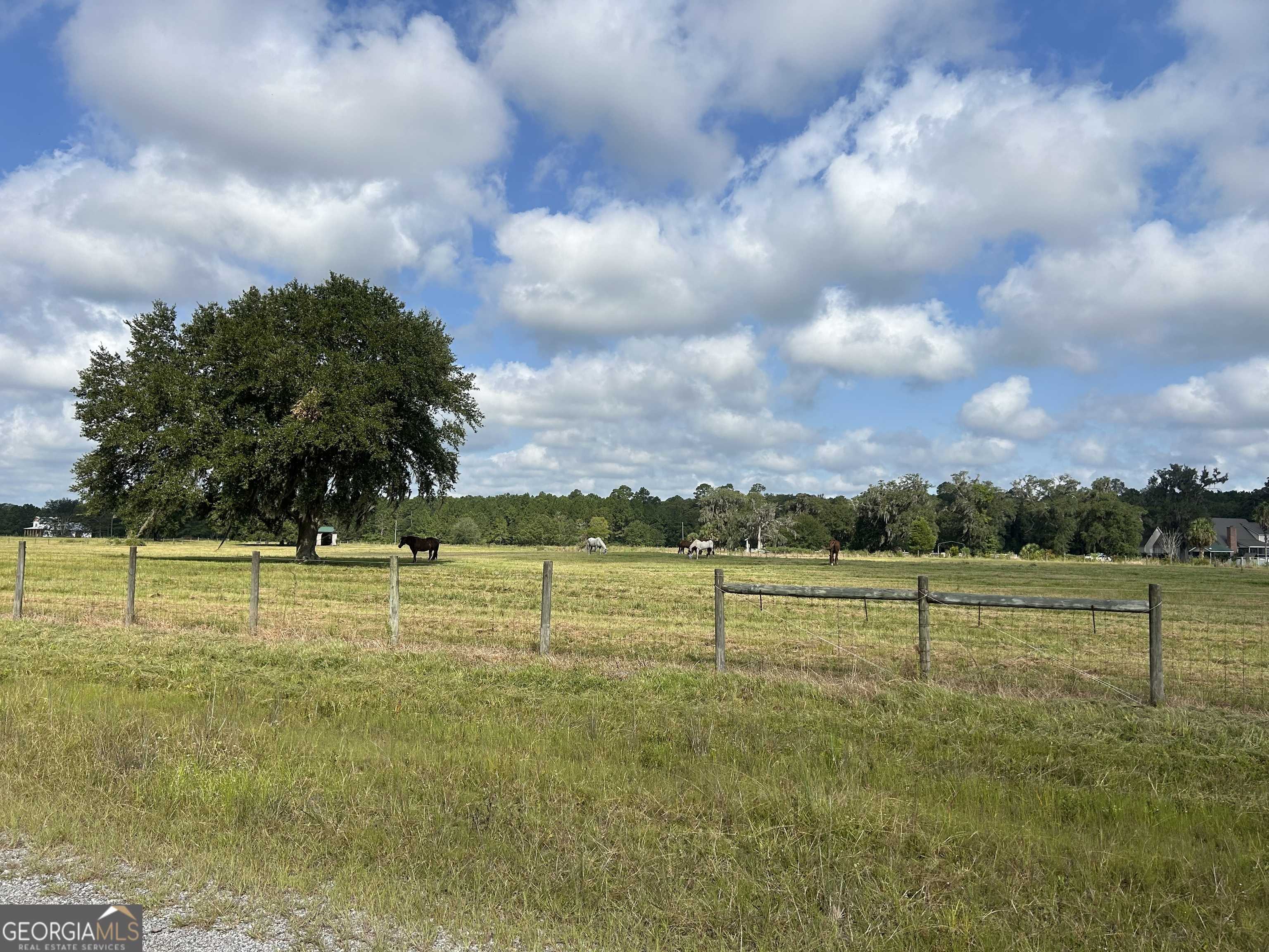 photo 2: Waverly Farms Road, Waverly GA 31565