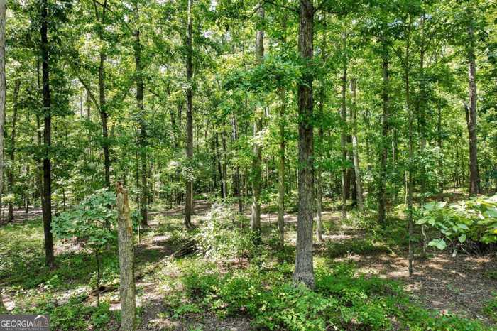 photo 1: Cemetery Circle, Comer GA 30629