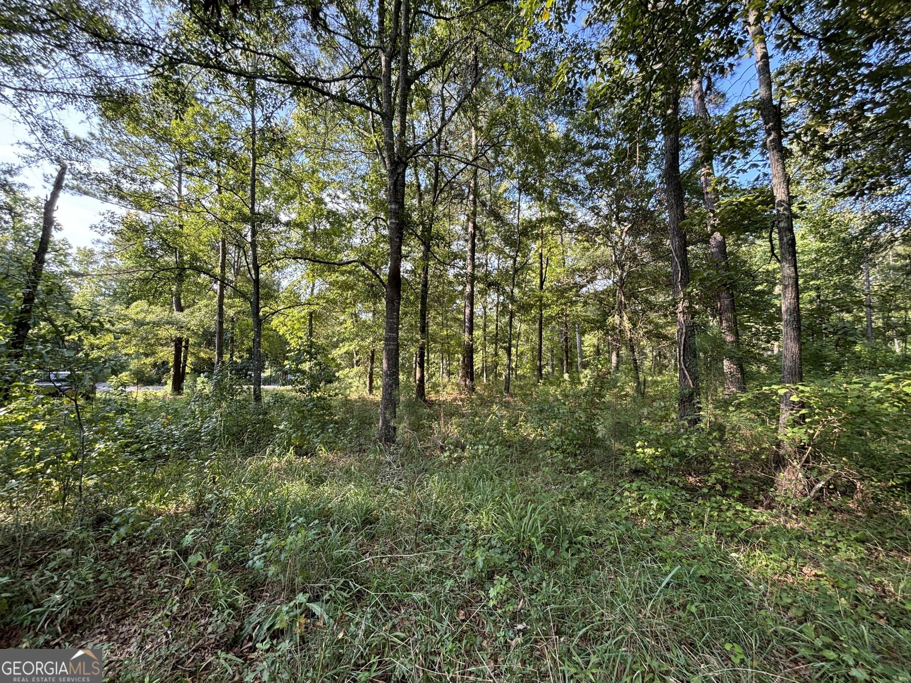 photo 3: Possum Point Dr Lot 2, Eatonton GA 31024