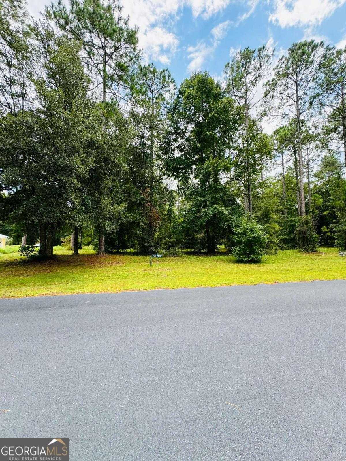 photo 1: LOT 557 NE Wood Stork Drive, Townsend GA 31331