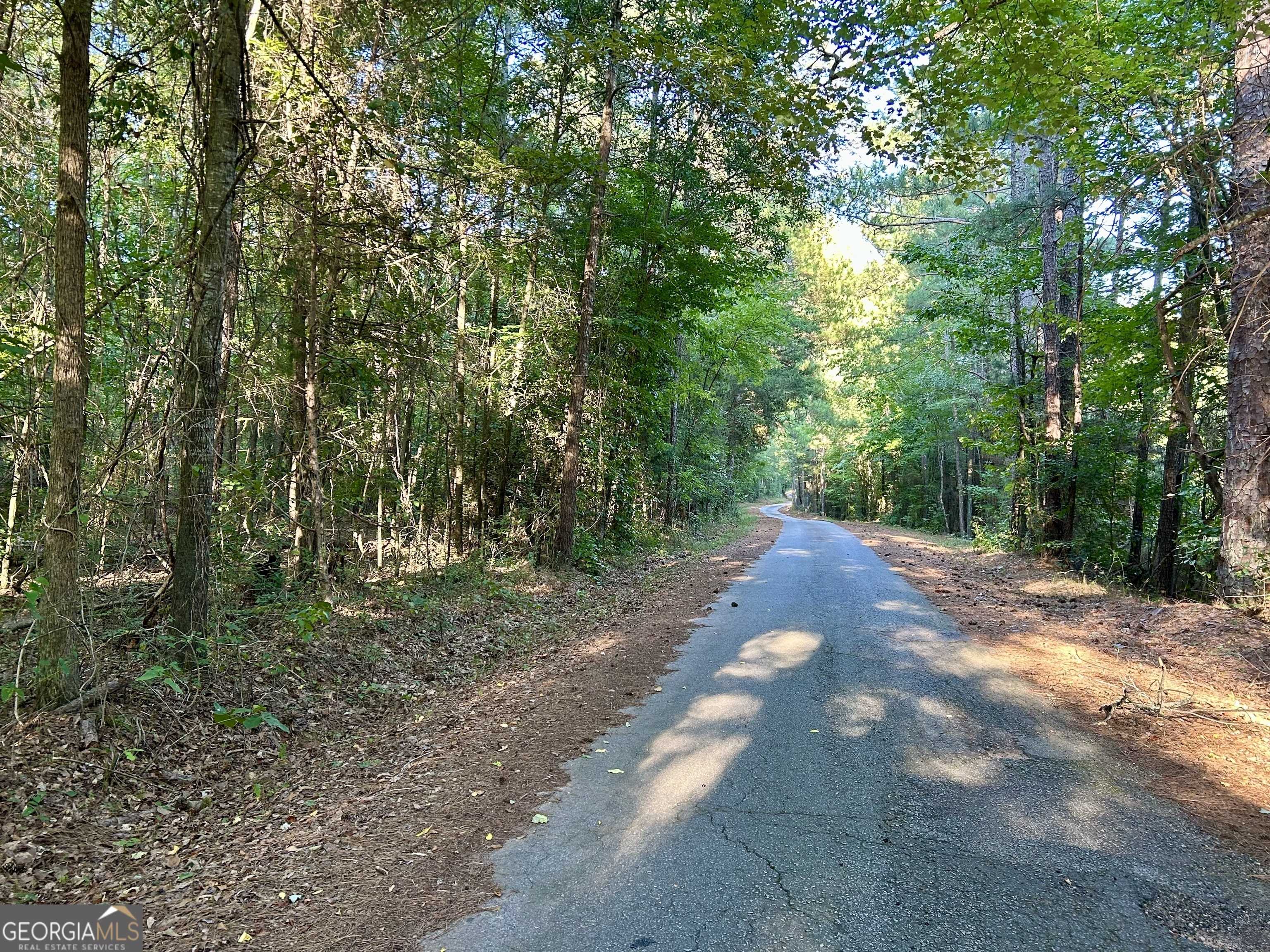 photo 1: Pickens Point Rd., Elberton GA 30635