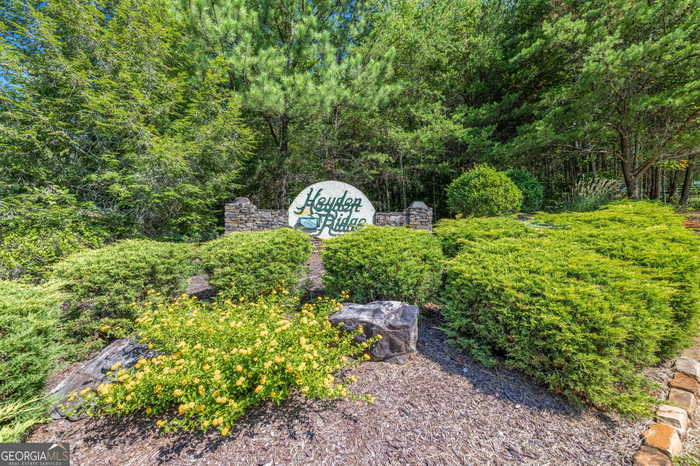 photo 73: 430 Heyden Ridge Drive, Clarkesville GA 30523