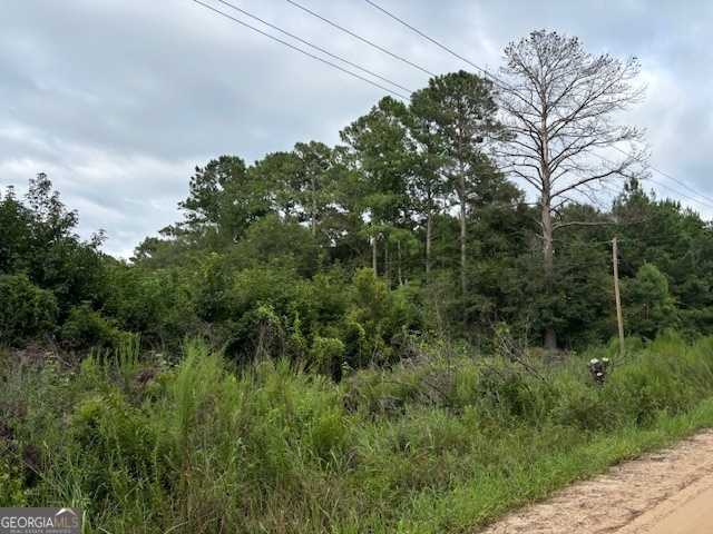 photo 3: Bell Road, Brooklet GA 30415