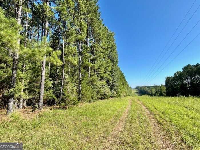 photo 2: Silas Mercer Road, Crawfordville GA 30631