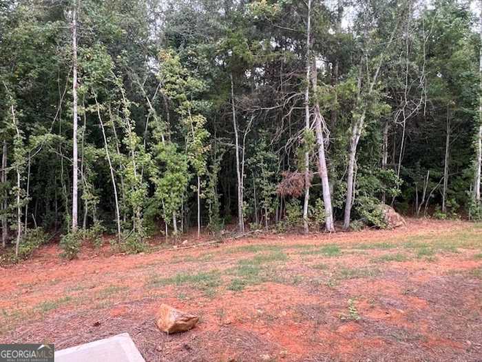 photo 17: 150 Glenview Way Unit LOT 12, Thomaston GA 30286