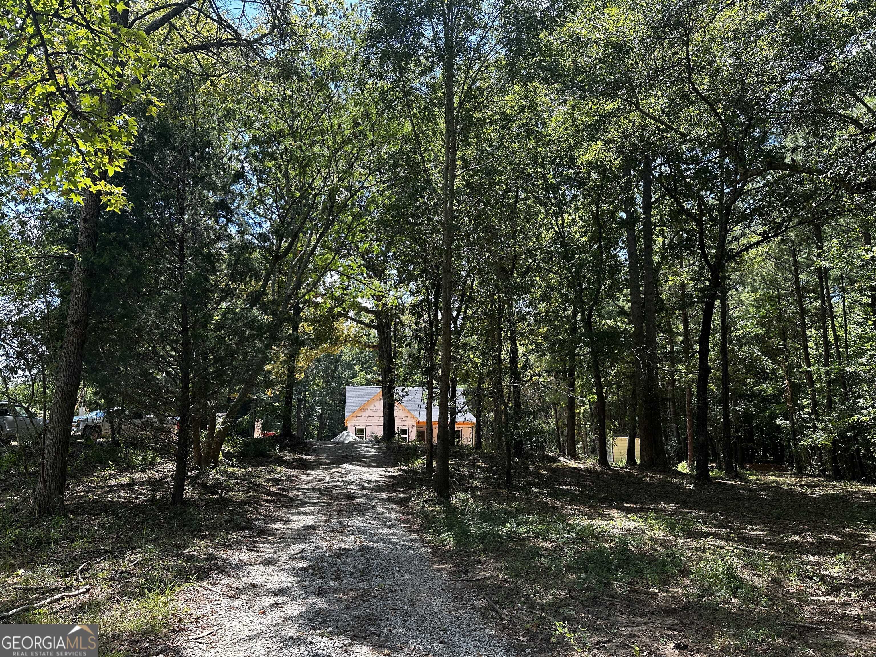 photo 3: 2255 Todd Road, Greenville GA 30222