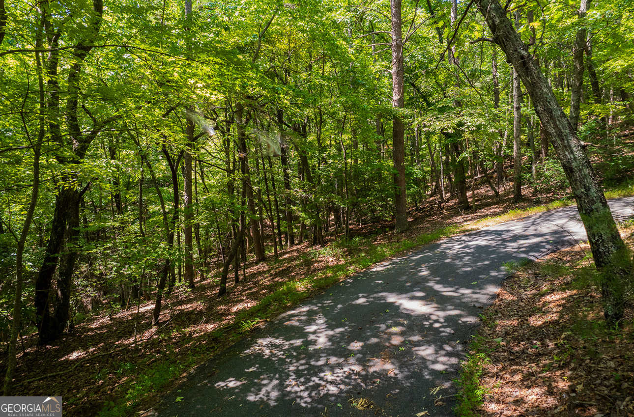 photo 3: 226 Crested Fern Lane, Big Canoe GA 30143