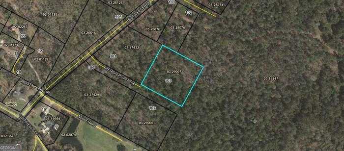 photo 1: 103 Heron Point Drive, Brunswick GA 31523