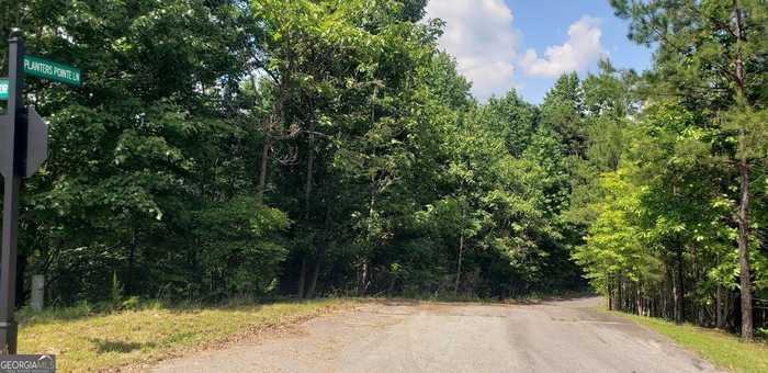 photo 2: Planters Pointe Lane, Baldwin GA 30511