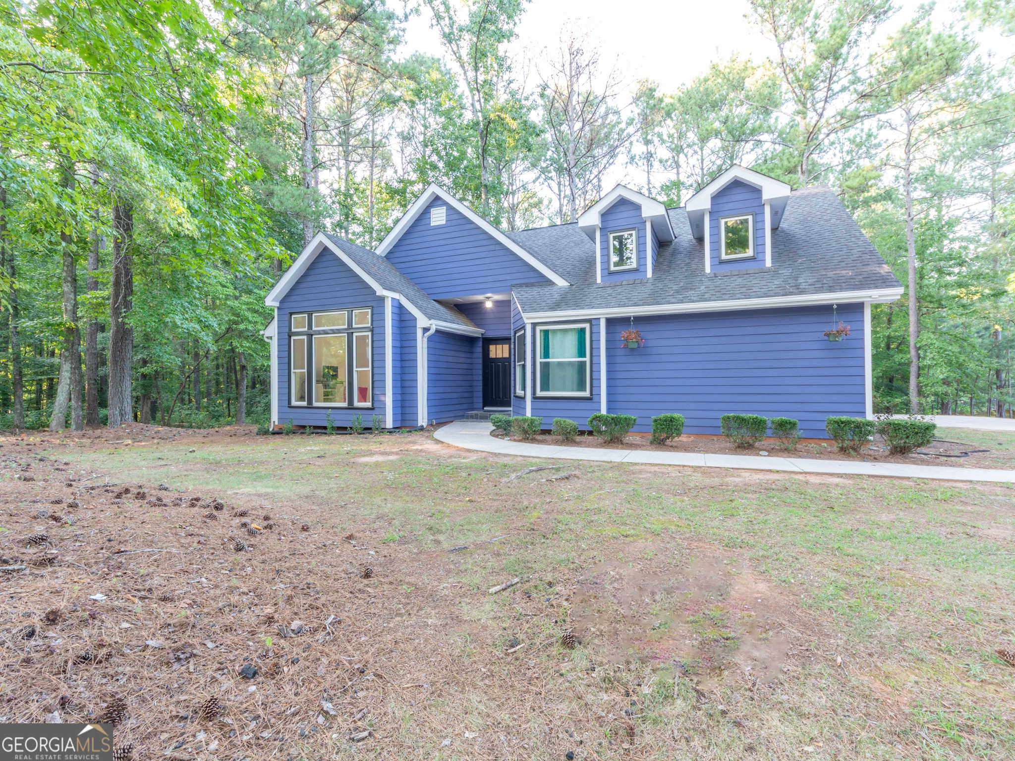 photo 3: 62 Lakeridge Drive, Temple GA 30179