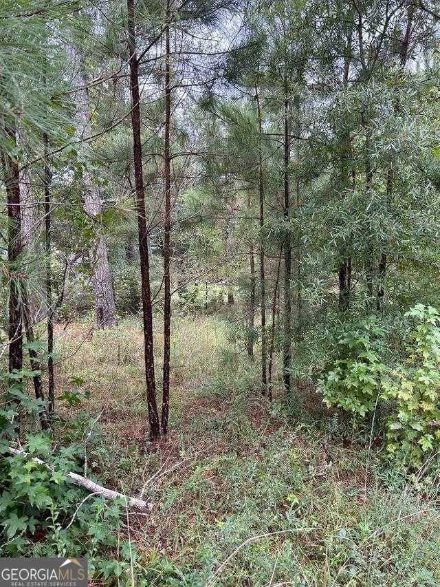 photo 3: Loblolly Drive, Sparta GA 31087