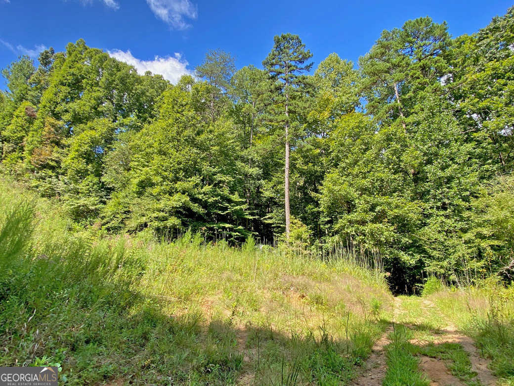 photo 1: Falling Pines Road, Dahlonega GA 30533