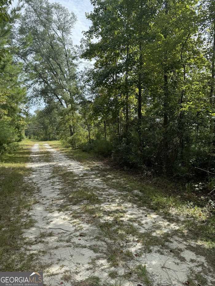 photo 1: Deloach Church Rd, Claxton GA 30417