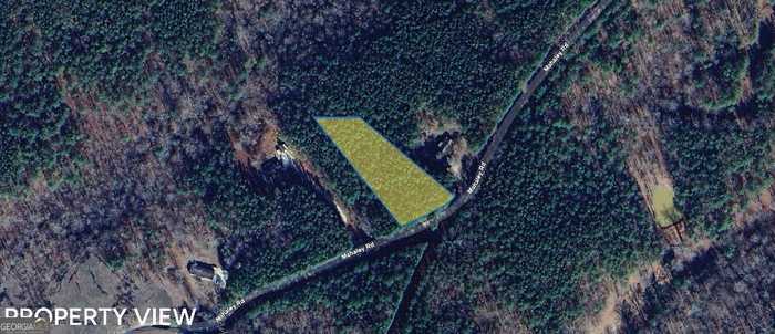 photo 1: LOT 2 Mahaley Road, Franklin GA 30217