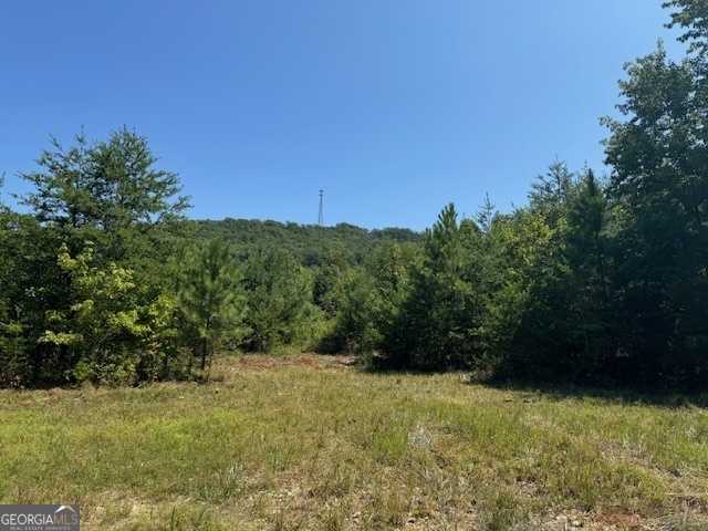 photo 1: PARCEL #1 Cherokee Hills Drive Unit 125 ACRES, Rydal GA 30171