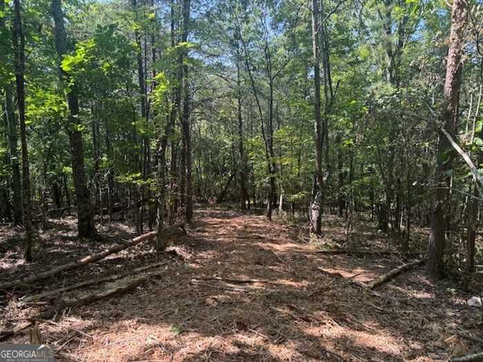 photo 1: PARCEL #2 Cherokee Hills Drive Unit 186 ACRES, Rydal GA 30171