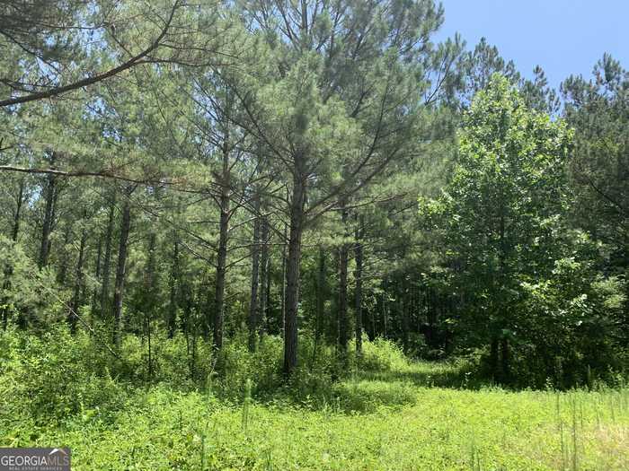 photo 4: 43.85 AC Victory Road, Franklin GA 30217