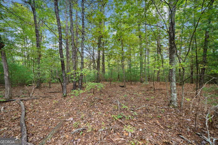 photo 63: L122 Trout Line Court, Talking Rock GA 30175