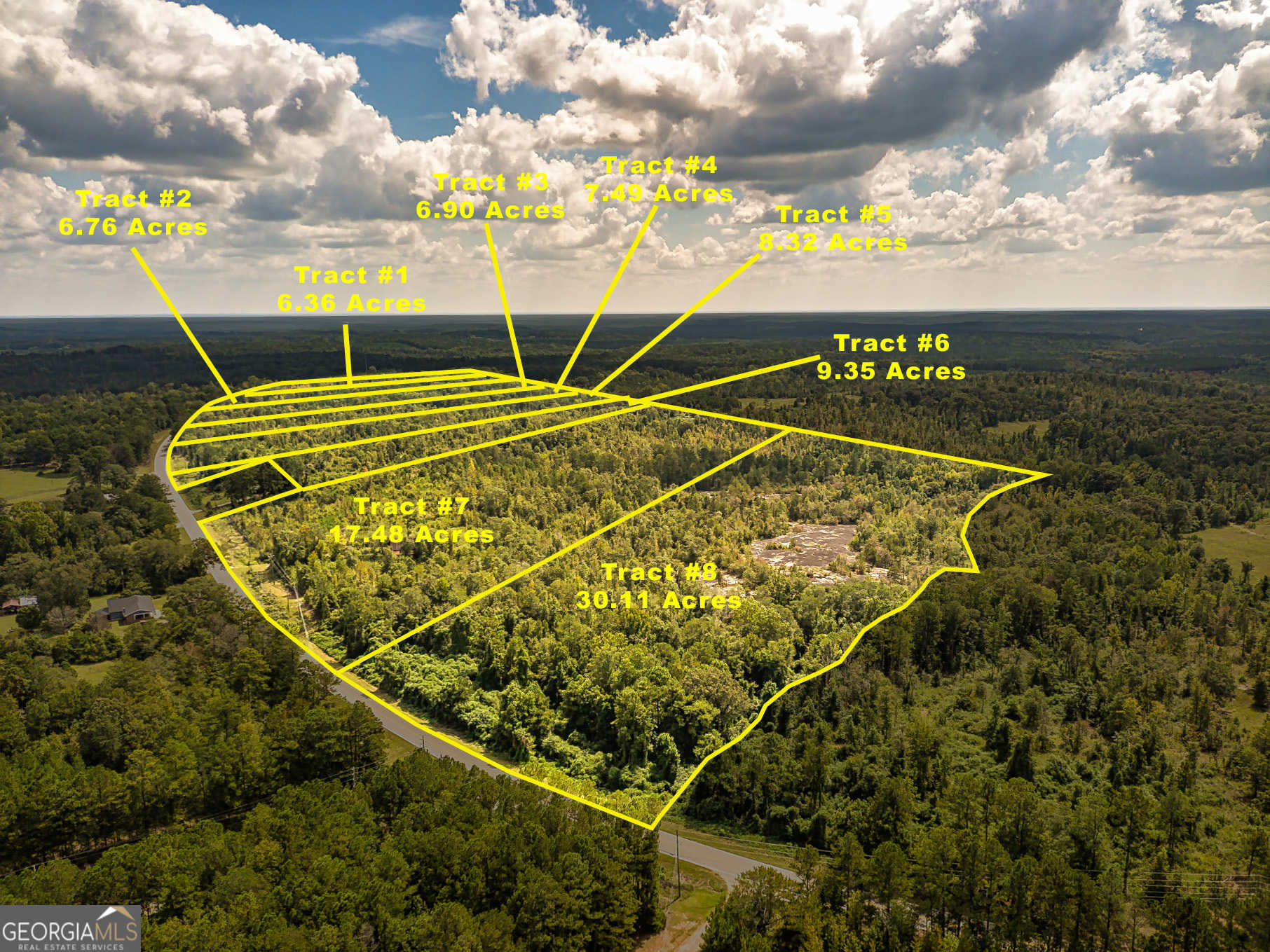 photo 3: 0 LOT 1 Ga Highway 34 Unit LOT 1, Franklin GA 30217