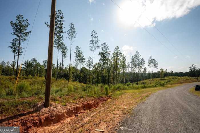 photo 11: LOT 131 River Reach Lane, Talking Rock GA 30175