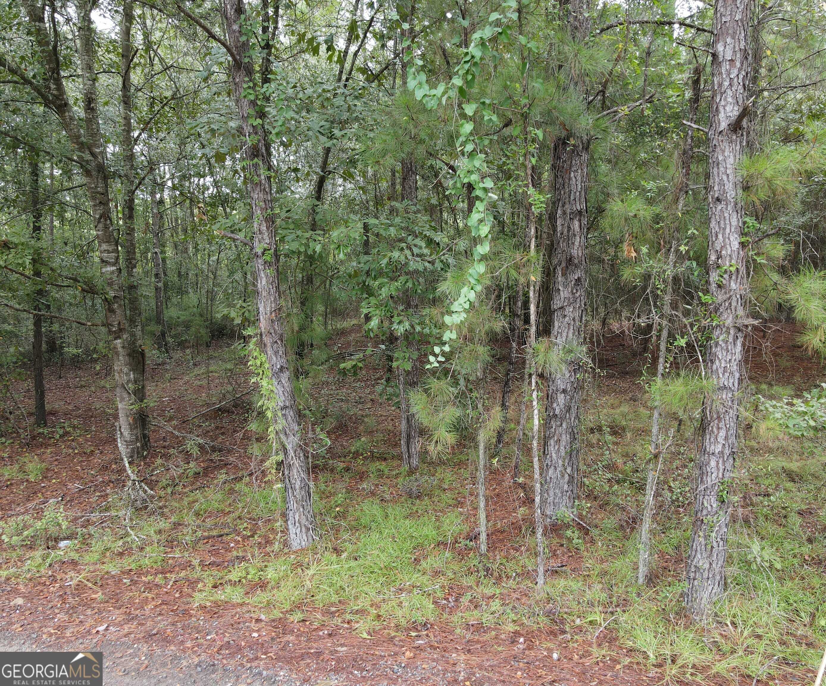 photo 3: Lindsey Drive, Claxton GA 30417