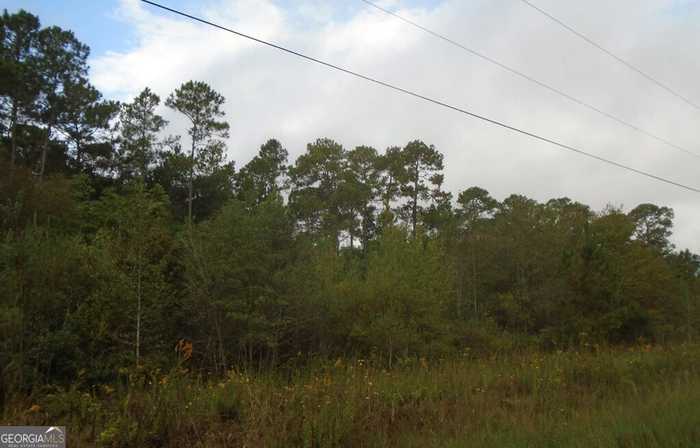 photo 3: Yogi Bear Rd, Norman Park GA 31771