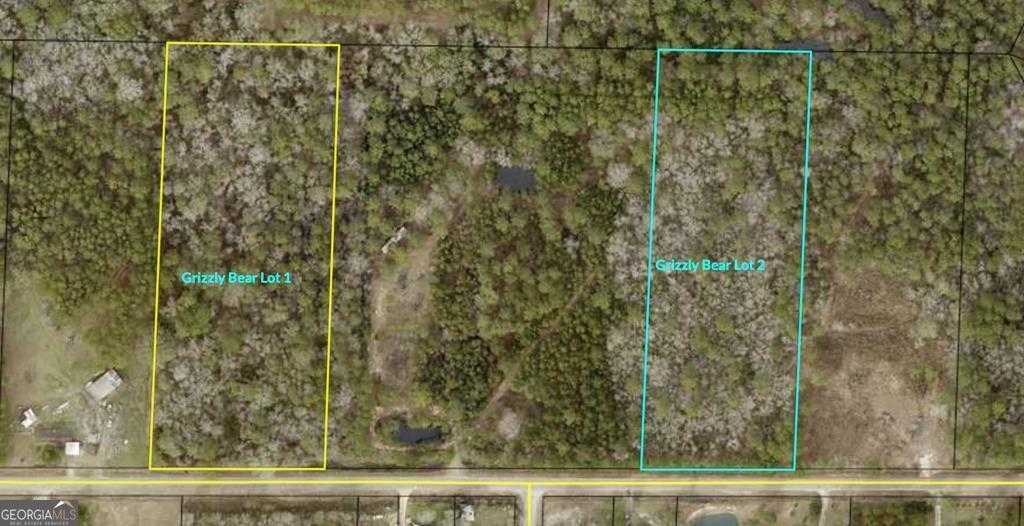 photo 1: Grizzly Bear Rd, Norman Park GA 31771