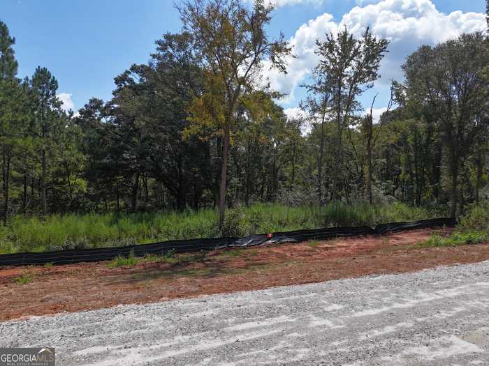 photo 2: Sanford Lake Drive Unit TRACT 3, Nicholson GA 30565