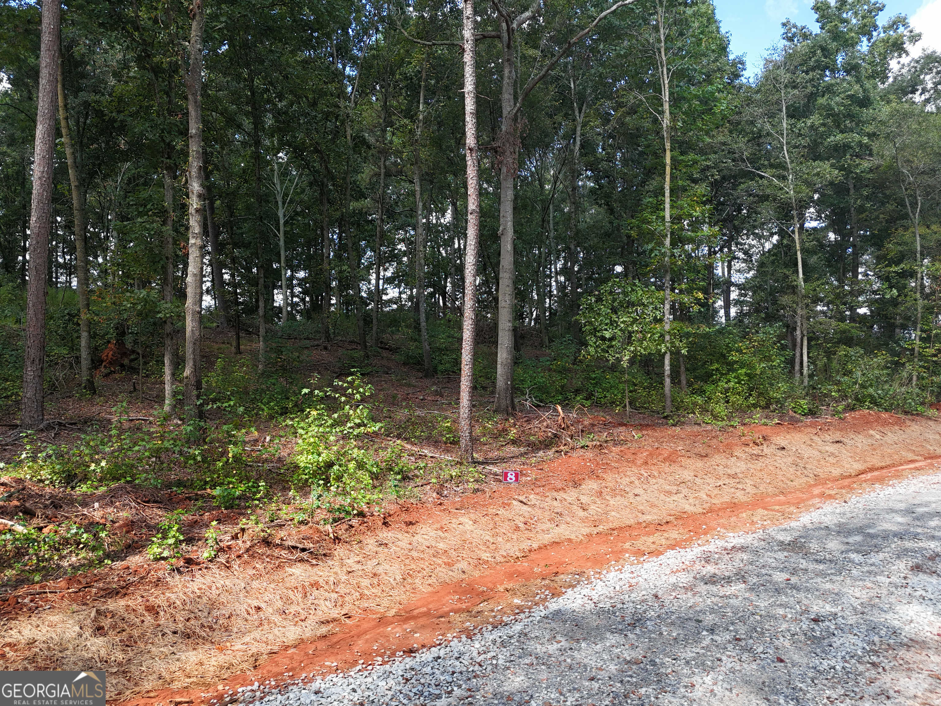 photo 2: Sanford Lake Drive Unit TRACT 8, Nicholson GA 30565