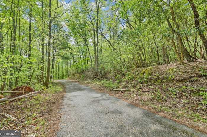 photo 1: Ts Jarrard Road, Dahlonega GA 30533