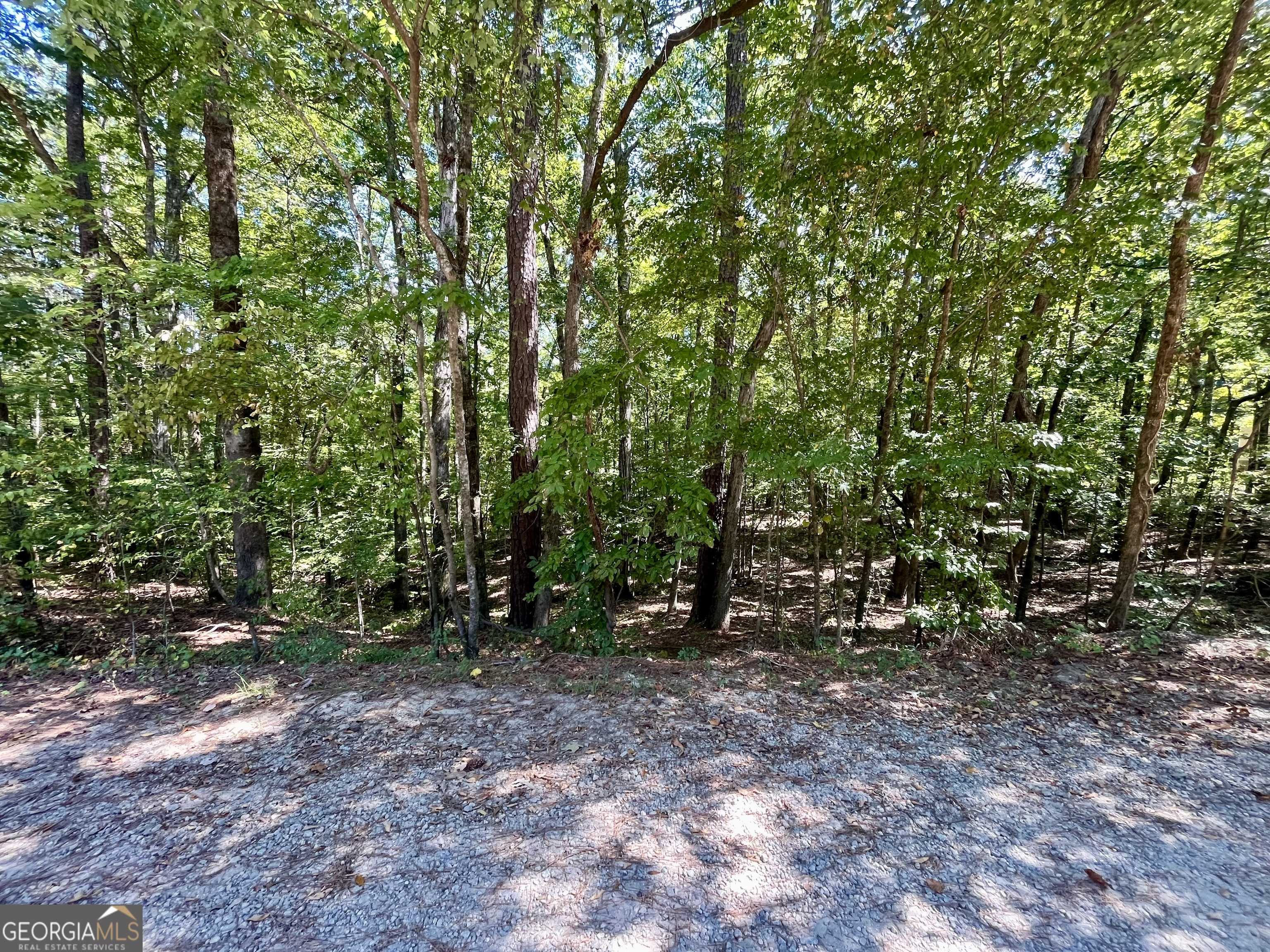 photo 2: Magpie Court Unit LOT 194, Monticello GA 31064